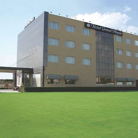 Hotel Grand Maple Divisione di Divisione di Jaipur Esterno foto